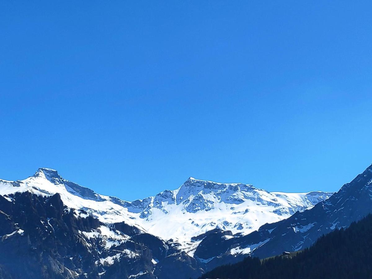 Chuenislodge2- Zwei Balkone, Gemuetlicher Kamin, Top Aussicht Adelboden Eksteriør billede